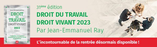 Droit du travail – Droit Vivant 2022 Par Jean Emmanuel Ray